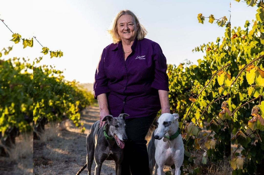 jo_irvine_with_greyhounds