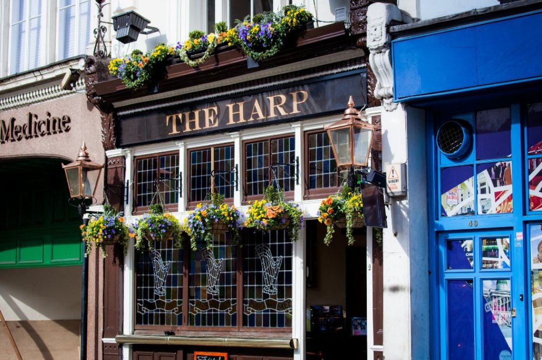 The Harp