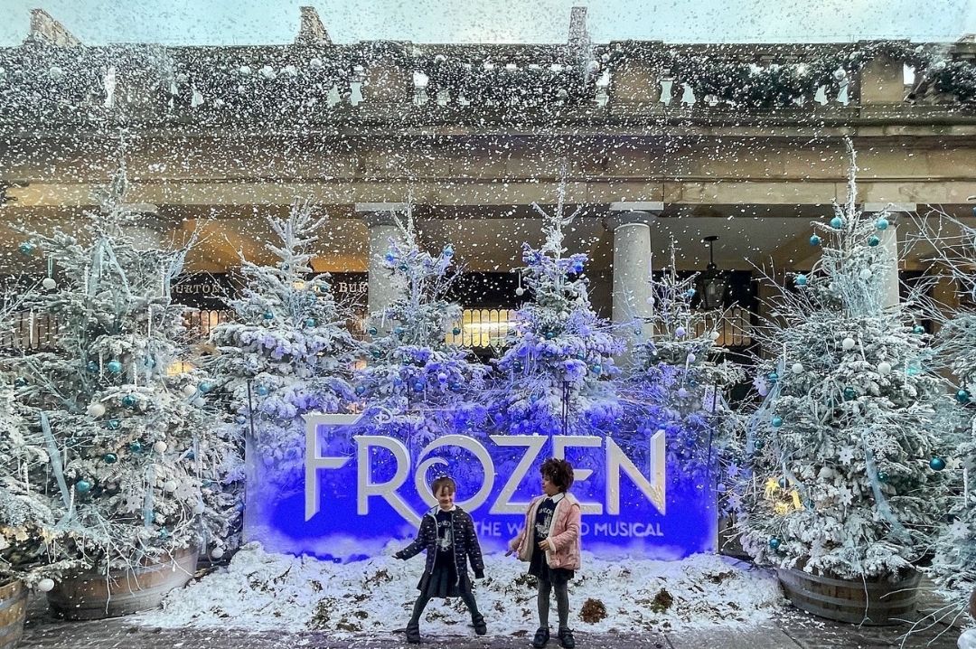 Frozen experience