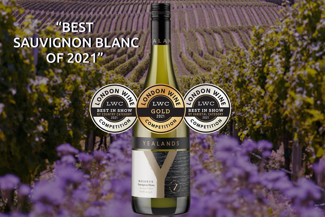 Photo for: Yealands Reserve is the Best Sauvignon Blanc in the World