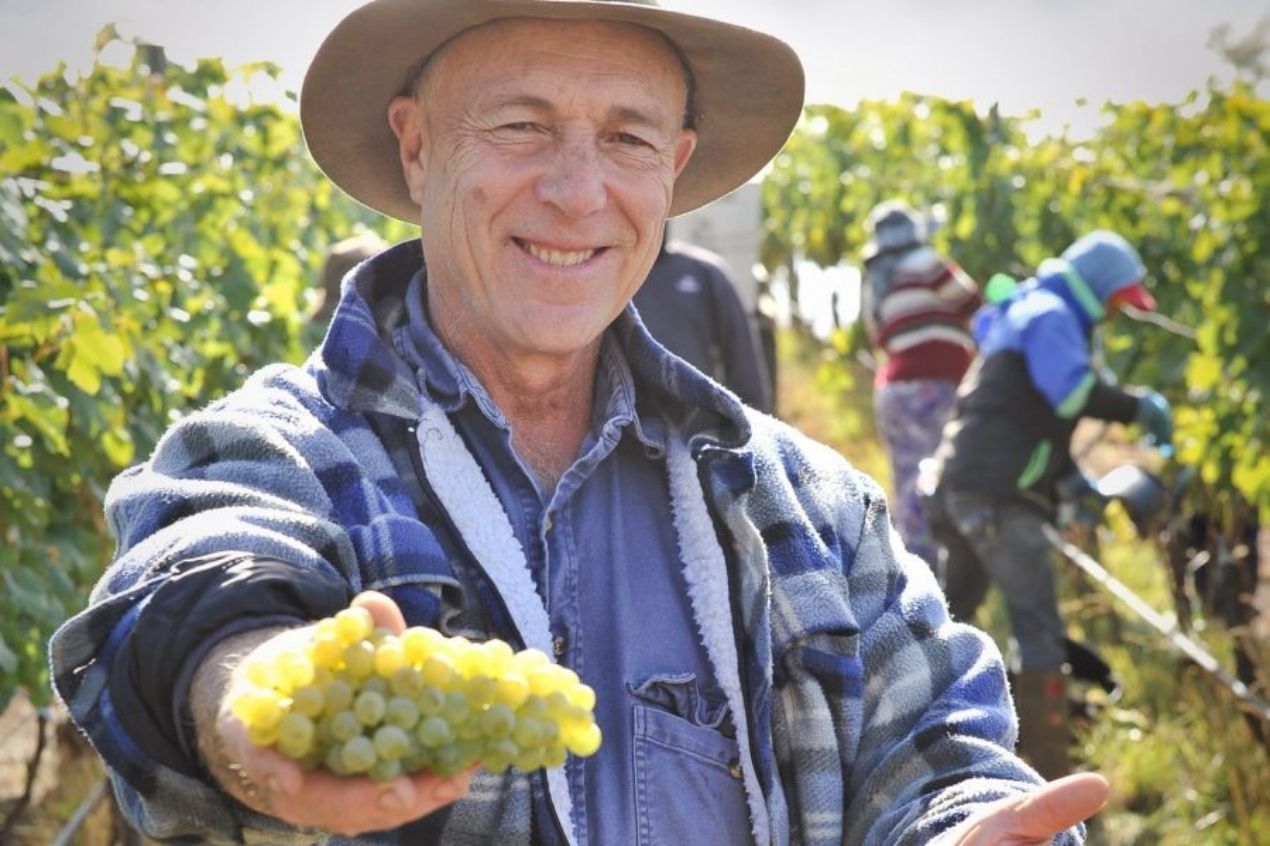 Photo for: Meet the first Australian producers of Gruner Veltliner