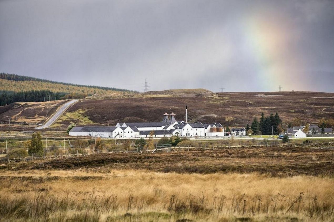 Photo for: Best Distilleries to Visit in Scotland If You Are A Tourist