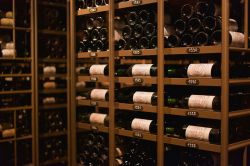 Photo for: Top Wines to Try from the 2025 London Wine Competition