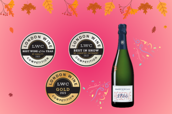 Photo for: Best Quality Thanksgiving Pop From France to Enjoy With Your Loved Ones