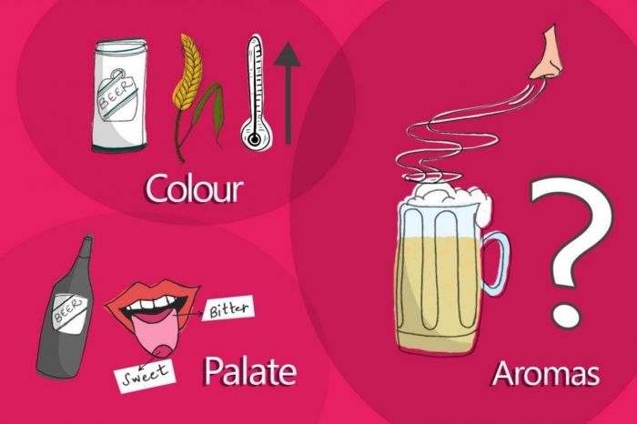 Photo for: How to taste beer and understand its quality 