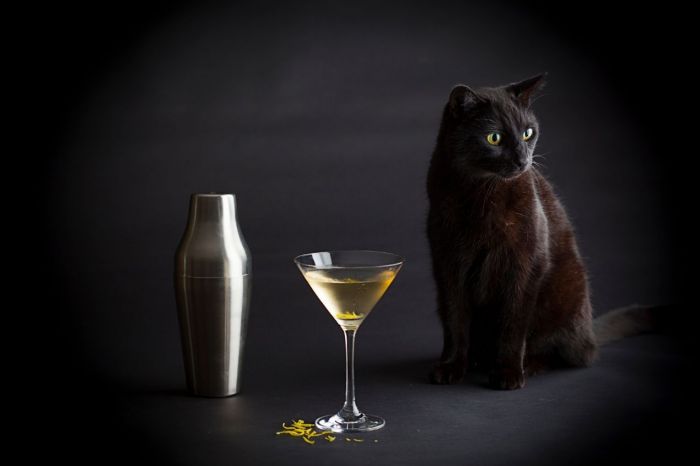 Photo for: The Islay Martini, Shaken not Stirred
