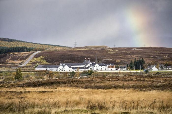 Photo for: Best Distilleries to Visit in Scotland If You Are A Tourist